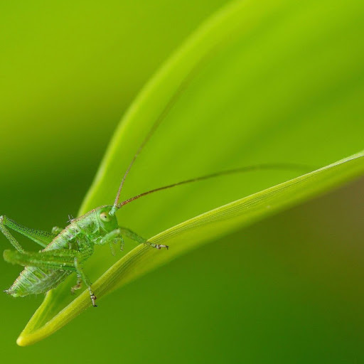 Hd-139976-ascw139976