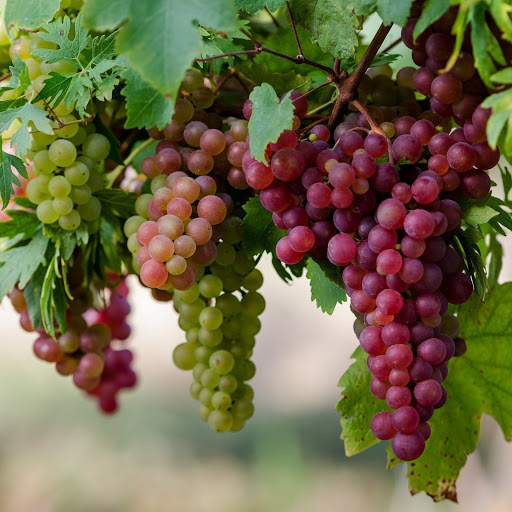 Hd-141131-ascw141131