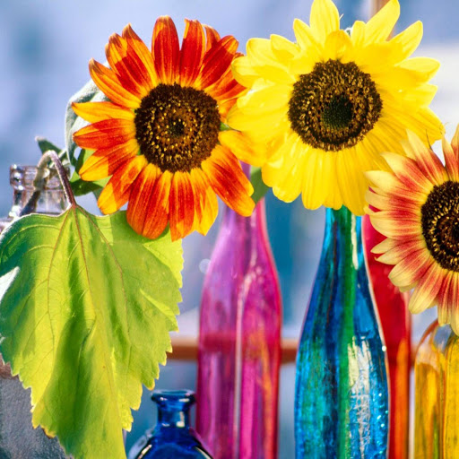 Hd-172050-ascw172050