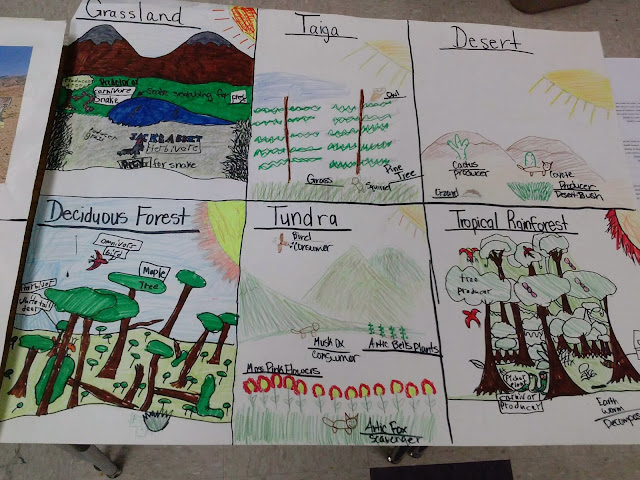 Mrs. Slavinski : Biome Poster Examples