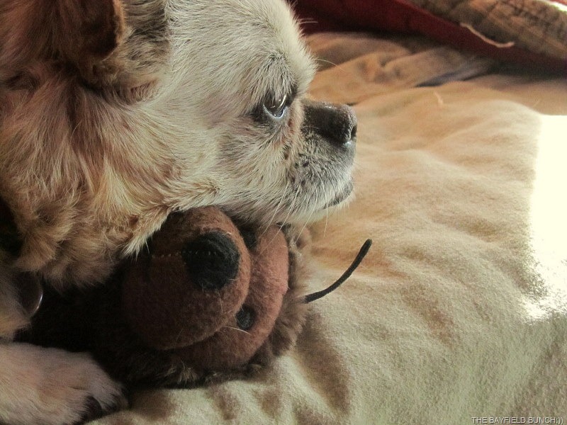 [IMG_1571%255B5%255D.jpg]