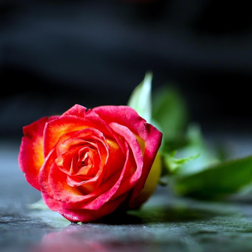 Hd-177301-ascw177301