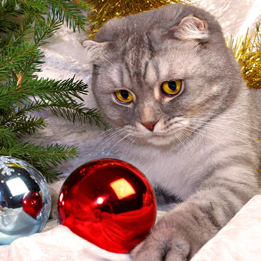 Hd-133194-ascw133194