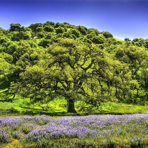 Hd-145936-ascw145936