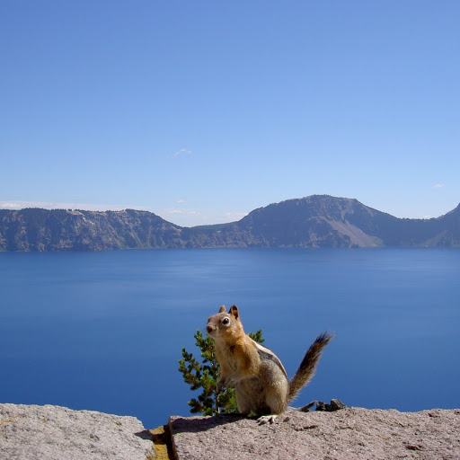 Hd-133233-ascw133233