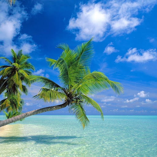 Hd-176442-ascw176442