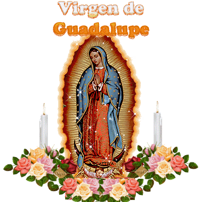 VIRGEN GUADALUPE GIFS (4)