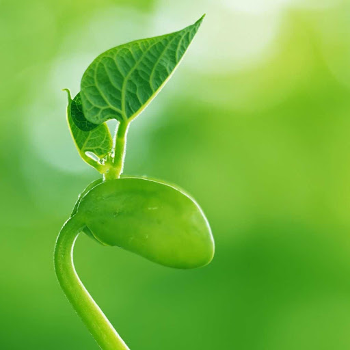 Hd-177676-ascw177676