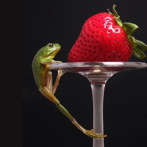 Hd-173279-ascw173279