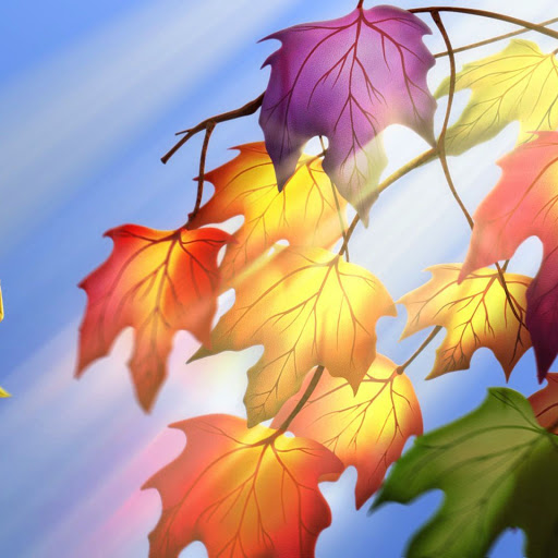 Hd-150774-ascw150774