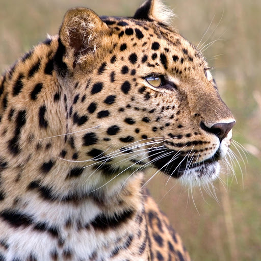 Hd-180466-ascw180466