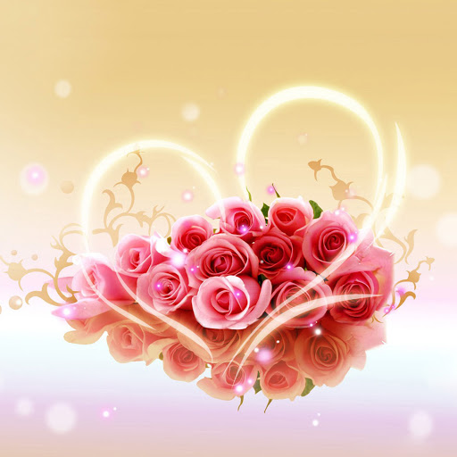 Hd-133312-ascw133312