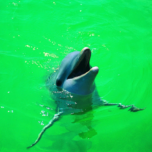 Hd-168791-ascw168791