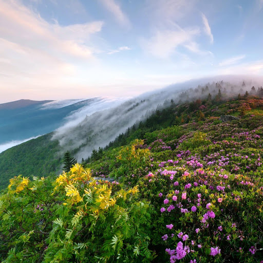 Hd-152388-ascw152388