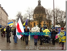 DSC00625.JPG Ukraina demonstration. Med amorism