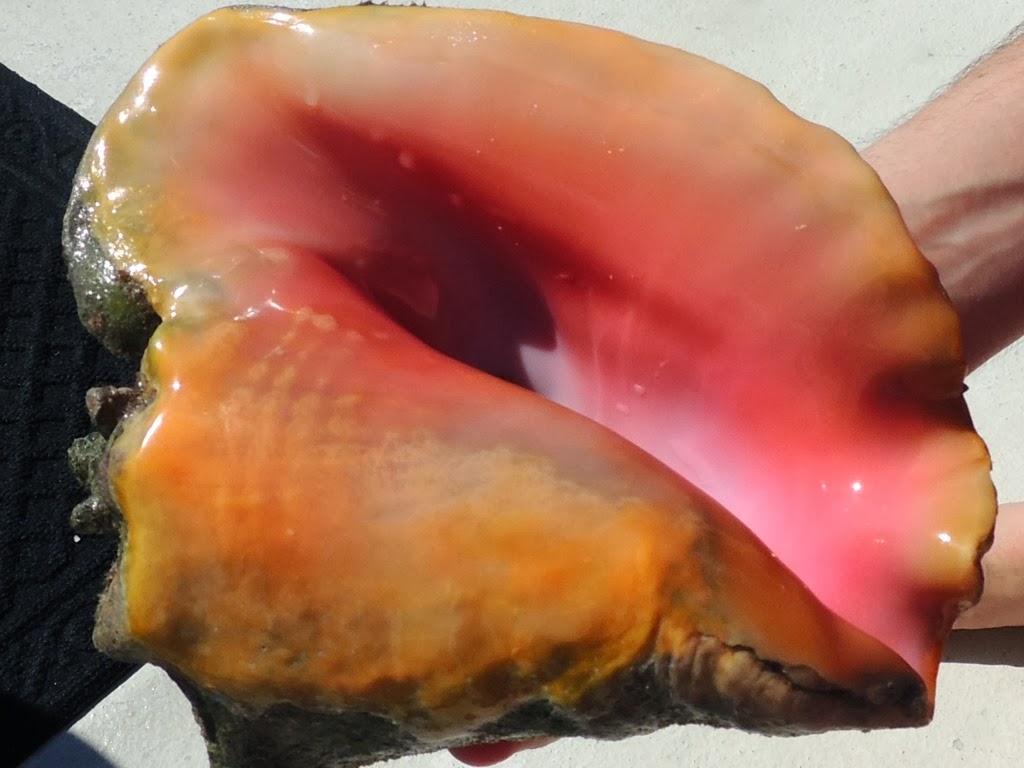 [DSCN7444%255B3%255D.jpg]