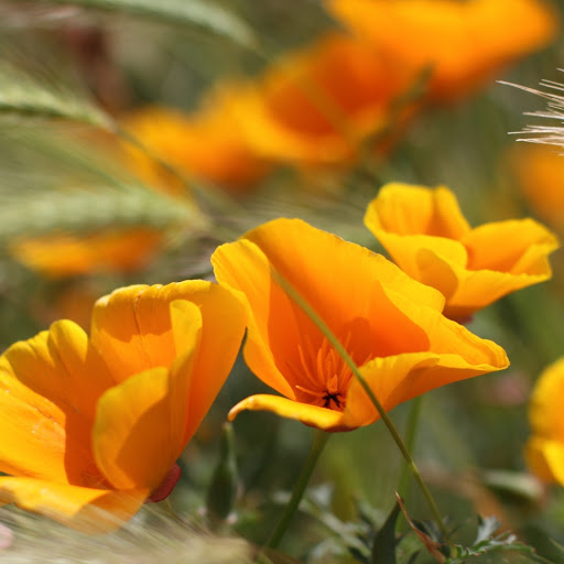 Hd-162552-ascw162552