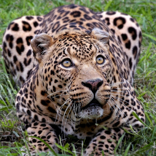 Hd-180441-ascw180441