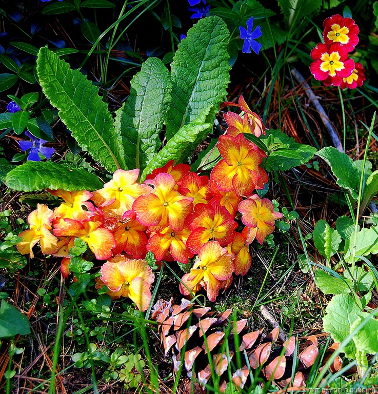 [DSC_0027-1%255B10%255D.jpg]