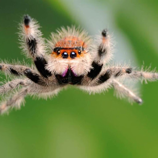 Hd-171265-ascw171265