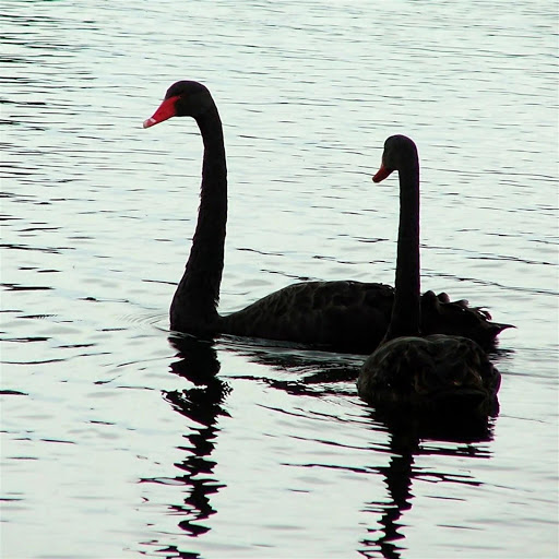 Hd-147793-ascw147793