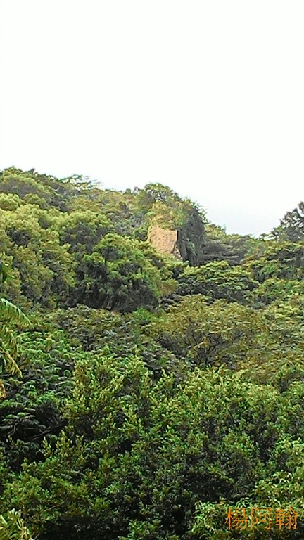 [1106-155---9.jpg]