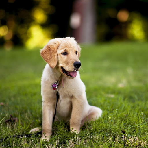 Hd-180680-ascw180680