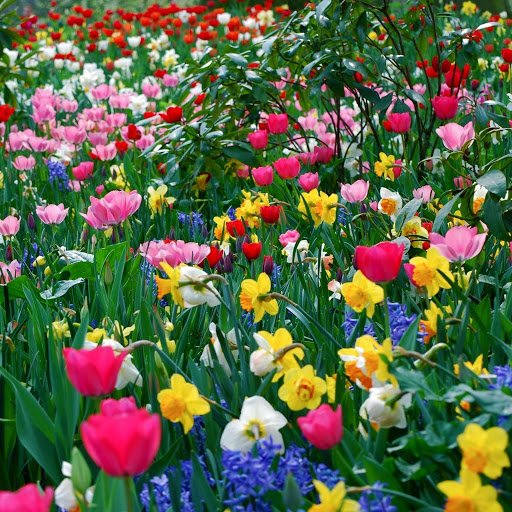 Hd-160723-ascw160723