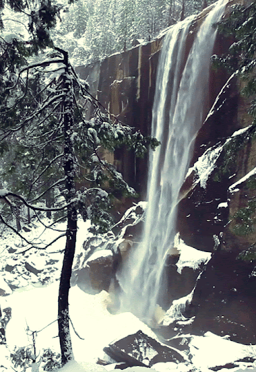 tumblr_myrrsbGw461s0xjvpo1_500.gif