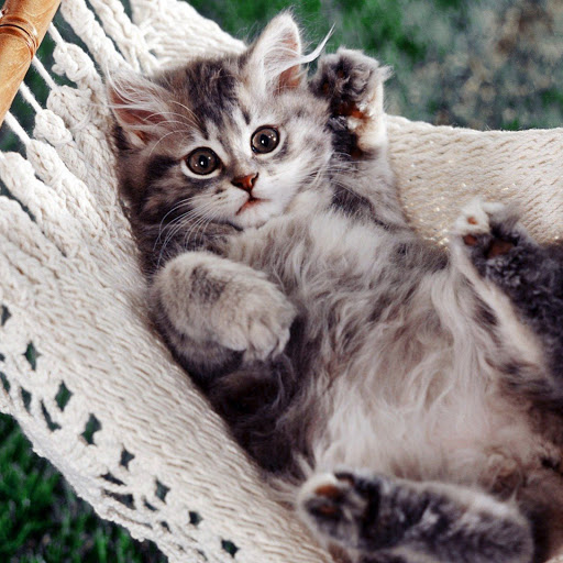 Hd-134725-ascw134725