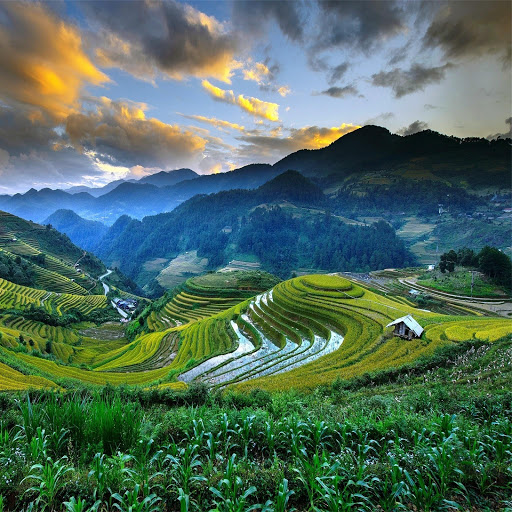 Hd-151141-ascw151141