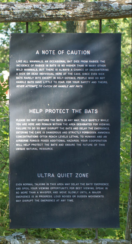 bracken-bat-cave-1424.jpg