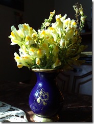 Natura statica - Vaza cu flori fotografie