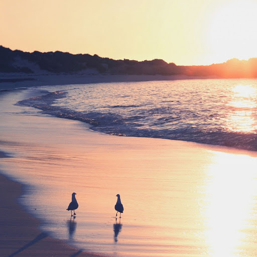 Hd-178767-ascw178767