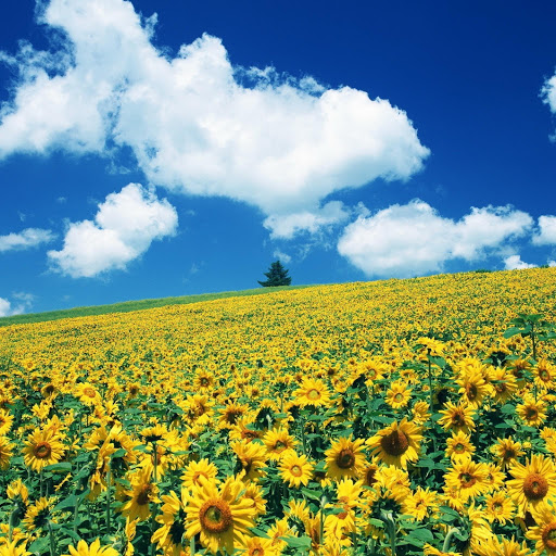 Hd-146030-ascw146030