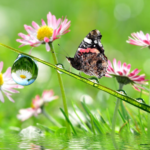 Hd-178163-ascw178163