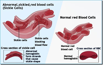  Kehamilan menyebabkan serangkaian perubahan fisiologik yang sering mengacaukan penegakan  ANEMIA dalam KEHAMILAN