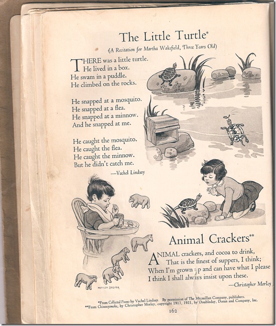 Poems - Little Turtle - Animal Crackers