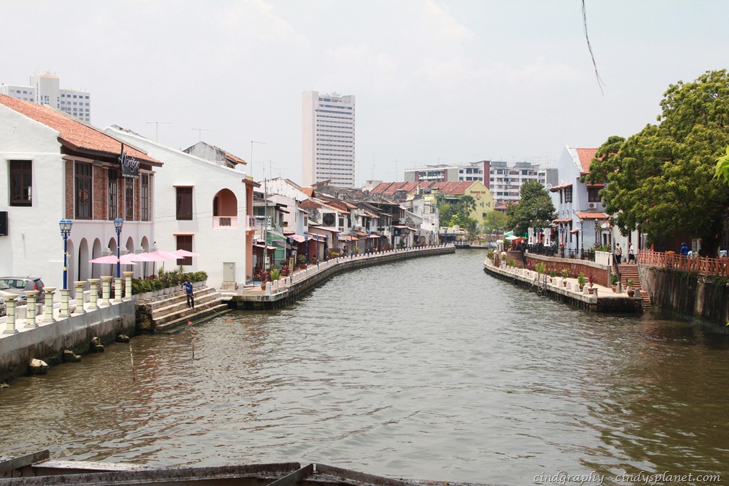 [IMG_3357%255B3%255D.jpg.webp]