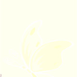 flores-54.jpg