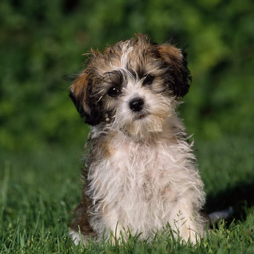 Hd-137887-ascw137887