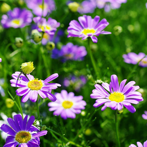 Hd-147422-ascw147422