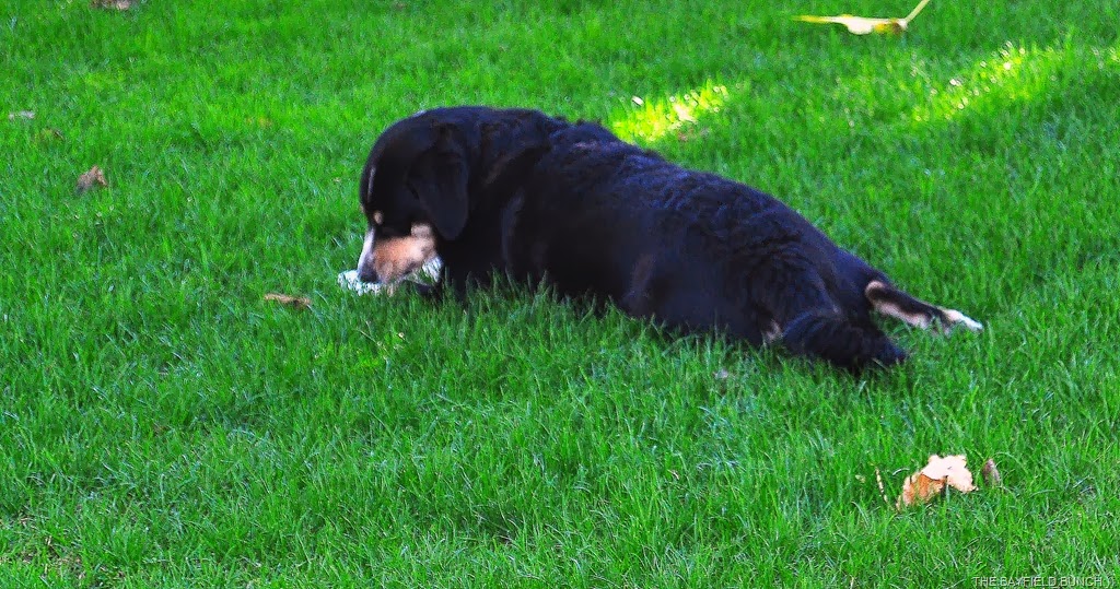 [DSC_0094%255B3%255D.jpg]