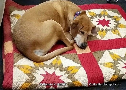 [20141203_153852-1-1%255B3%255D.jpg]