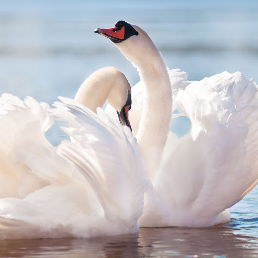 Hd-163752-ascw163752