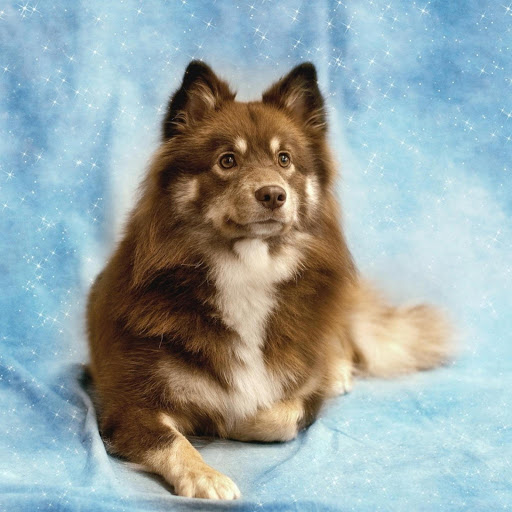 Hd-185991-ascw185991