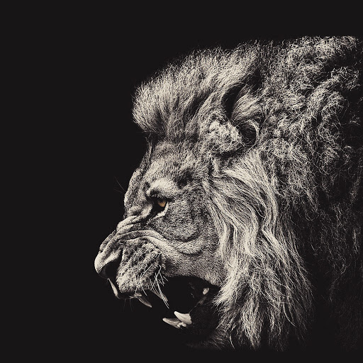 Hd-138105-ascw138105