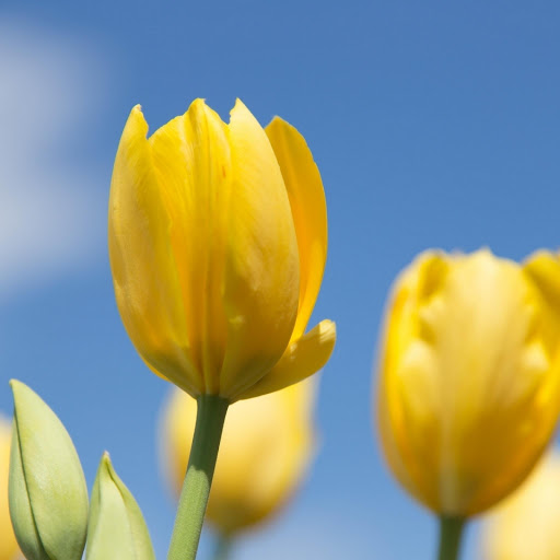 Hd-176362-ascw176362