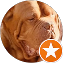 reggie hinton profile picture