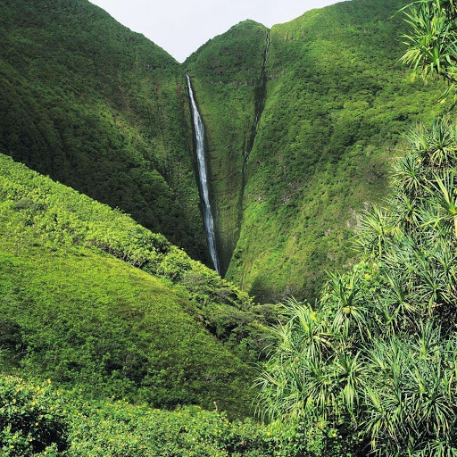 Hd-132114-ascw132114